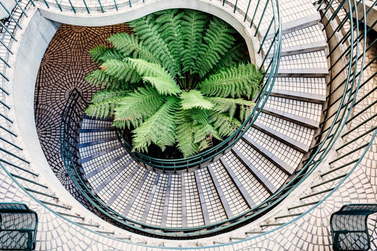 Interior goals // bringing outdoor elements, indoors.