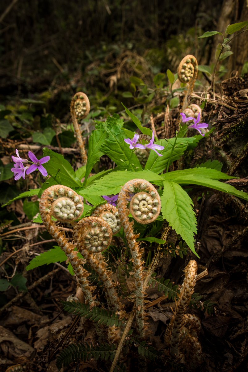 Il Vincitore del Concorso "Obiettivo sul Parco 2018"... Manuel Favaro!
parcocollieuganei.com/dettaglio.php?…