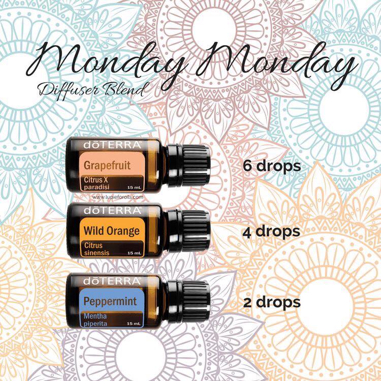 PureLifeBalance's tweet image. An uplifting blend for #MondayMorning from the #YYC team Essential RAW Living! 
This weekend, we launched their team with some fantastic classes in Calgary. 

Some amazing things to come from this group of all-stars!