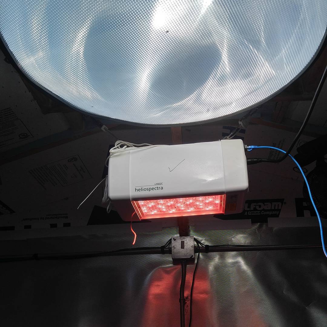 SunGrownZero's tweet photo. when the sun is at your back, your #growers can relax. #SunGrownZero cultivation systems are mixed-light facilities engineered for cost-cutting #efficiency, not max intensity. full spectrum #sunlight is dynamically supplemented w LEDs, based on our automated #PARLink component. https://t.co/BFQxcD1fKZ