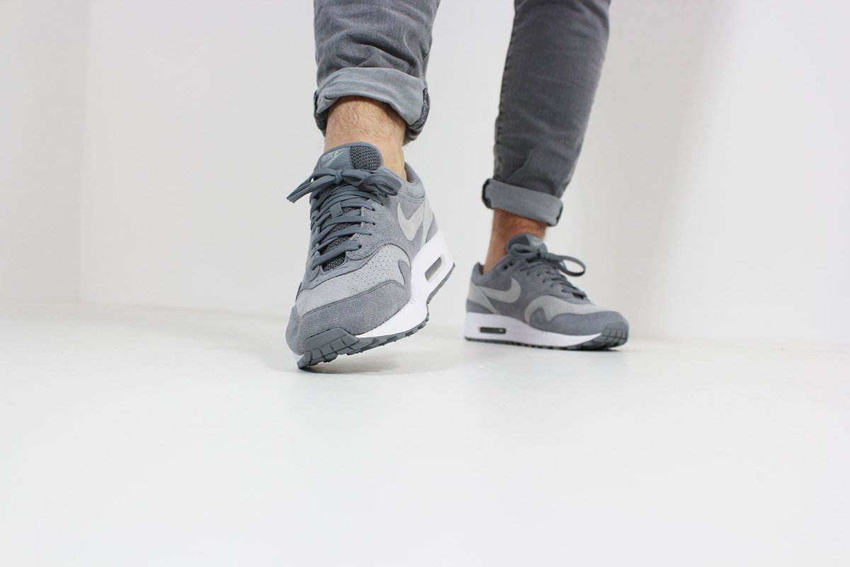 air max 1 cool grey wolf grey