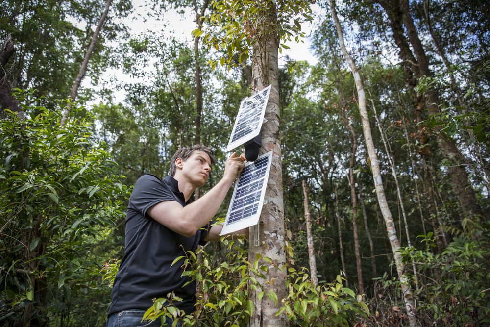 New_Sincerity's tweet photo. ICYMI // Think twice before you dump that old iPhoneβyou could save the Amazon instead. https://t.co/Rqzrq47I1t #TopherWhite #RainforestConnection @RainforestCx https://t.co/5qrmgDvcQX