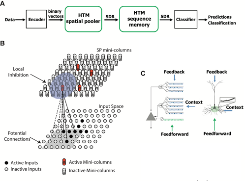 Numenta's tweet photo. Written from a neuroscience perspective, this paper demonstrates key computational properties of the HTM spatial pooler– a neurally inspired algorithm that learns sparse distributed representations online. https://t.co/b4u0Zzfpb9 https://t.co/8l2Rofs4r0