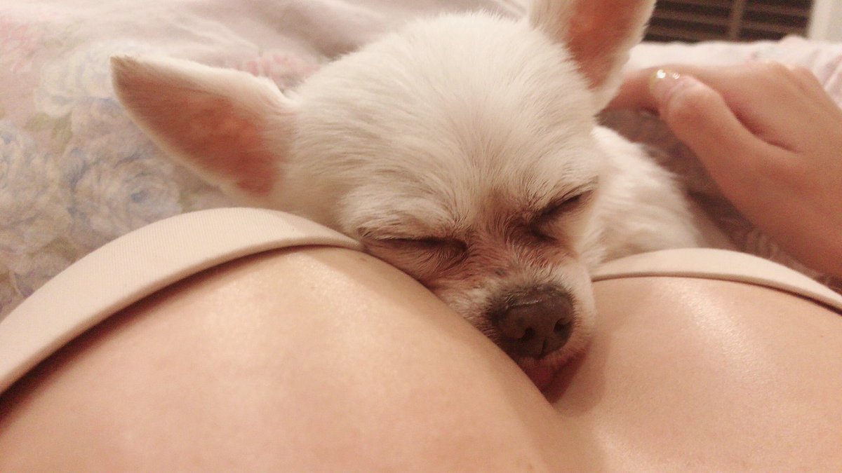 天海つばさ tweet media