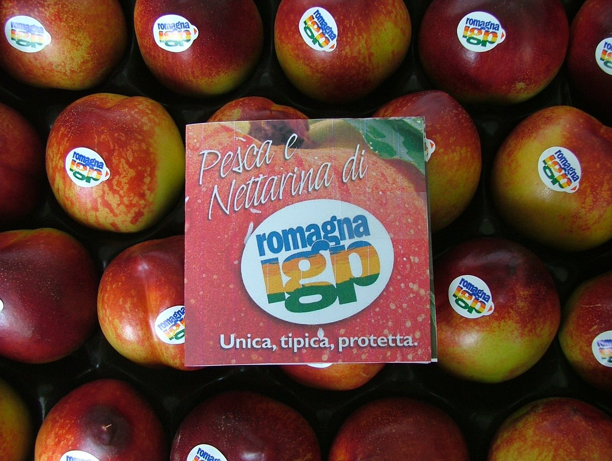 CSOItaly's tweet photo. La campagna #Pesca e #Nettarina di #RomagnaIGP proseguirà fino alla prima settimana di settembre e vedrà in campo numerose iniziative di carattere promozionale sia sulle spiagge della Riviera Romagnola.
https://t.co/Tdxqonns9A https://t.co/ADS4WSLYkN
