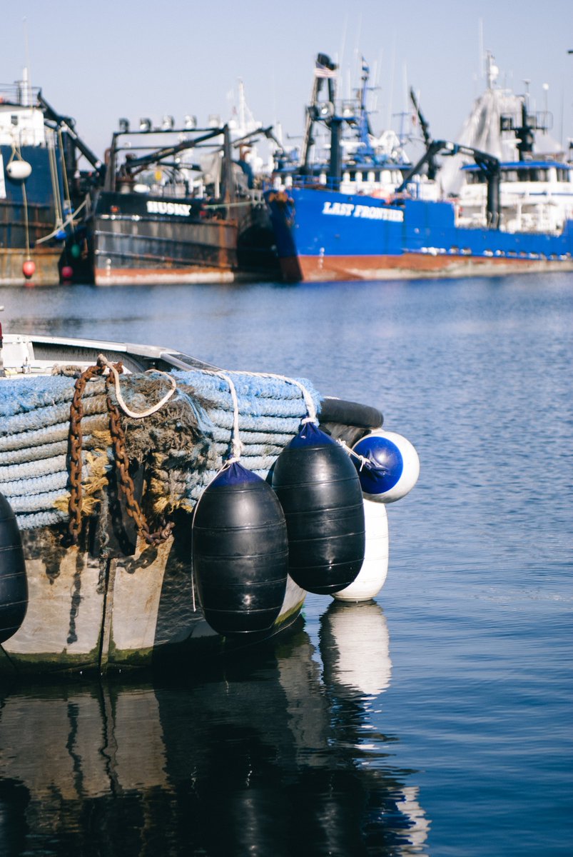 Ballard SeafoodFest tweet media
