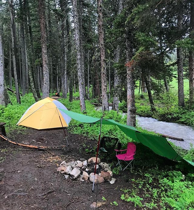 MTnativeMNadopt's tweet photo. Muddy mountain trails, swollen raging creeks, the smell of burning pine. This is my kind of camping. .
.
.
#camping
#hiking
#OptOutside
#ibelongoutside
#liveoutdoors
#mtoutdoors
#mtoutdoorlife
#onlyinmt
#nature
#naturelovers
#naturescapes
#montana https://t.co/oGUqdB5xtj https://t.co/cPh6jbRCrN