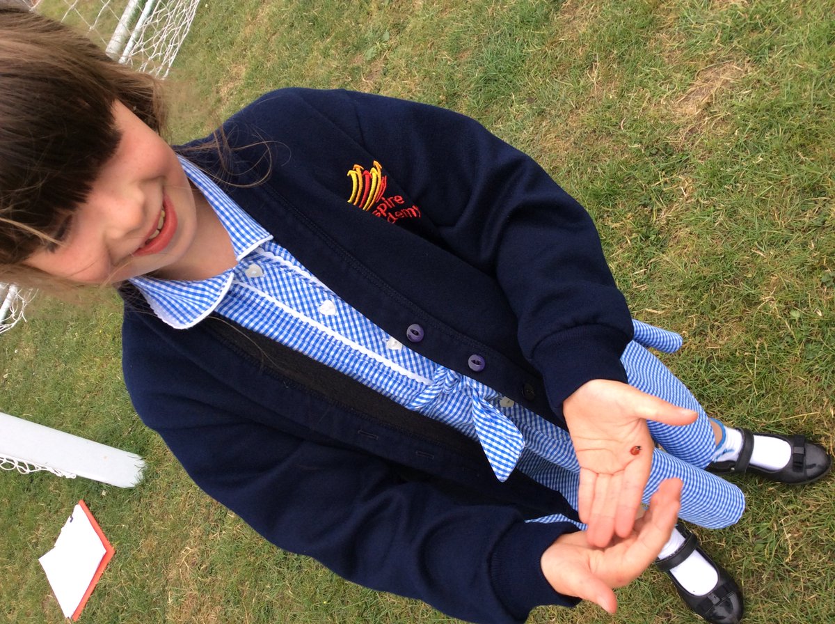 Inspire_After's tweet photo. Here’s Spotty Dotty, our team mascot 💁🏻♀️🐞 @Inspire_Ashton #nature #loveforallcreatures #caring https://t.co/LGEAx36HNP