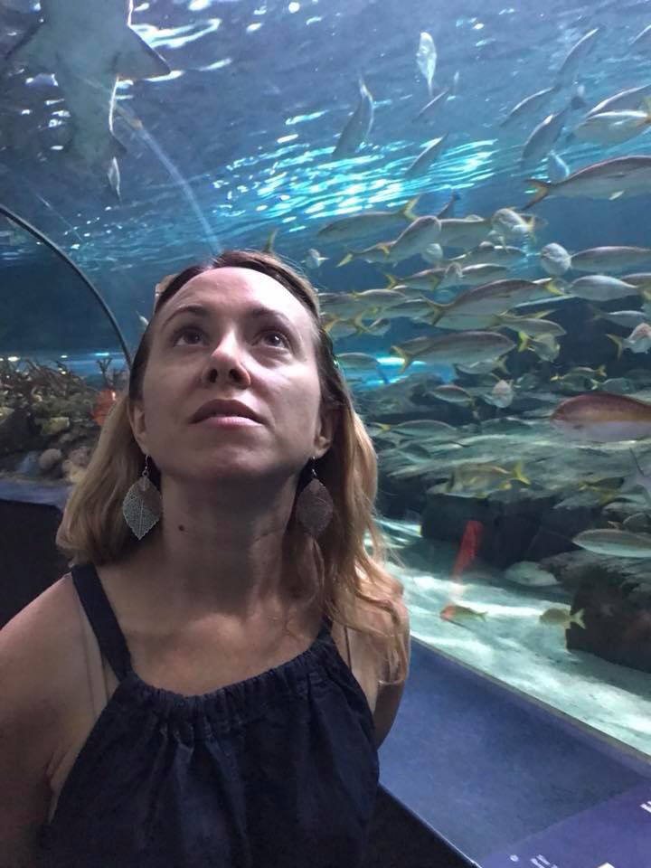 I am o-FISH-ally in awe of #ripleysaquarium #gatlinburg! There is so much to see and do, I could spend the whole day here! #hosted 
#travel #wanderlust #adventure #travelblogger #smokymountains #roadtrip #themountainsarecalling #gatlinburg #blendedfamily
