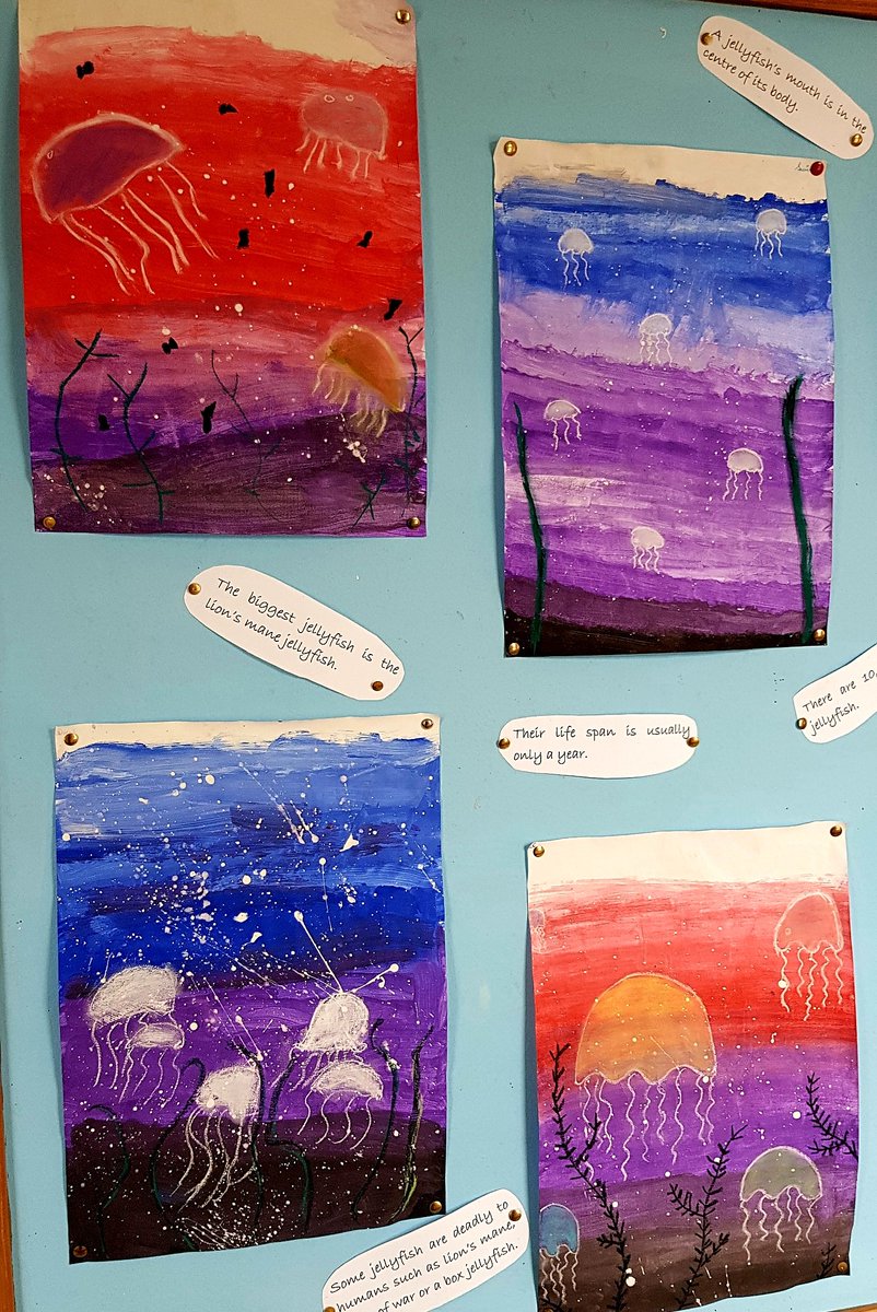 Thinking  about the Summer @kinvarans 😎🐙🌊☀️