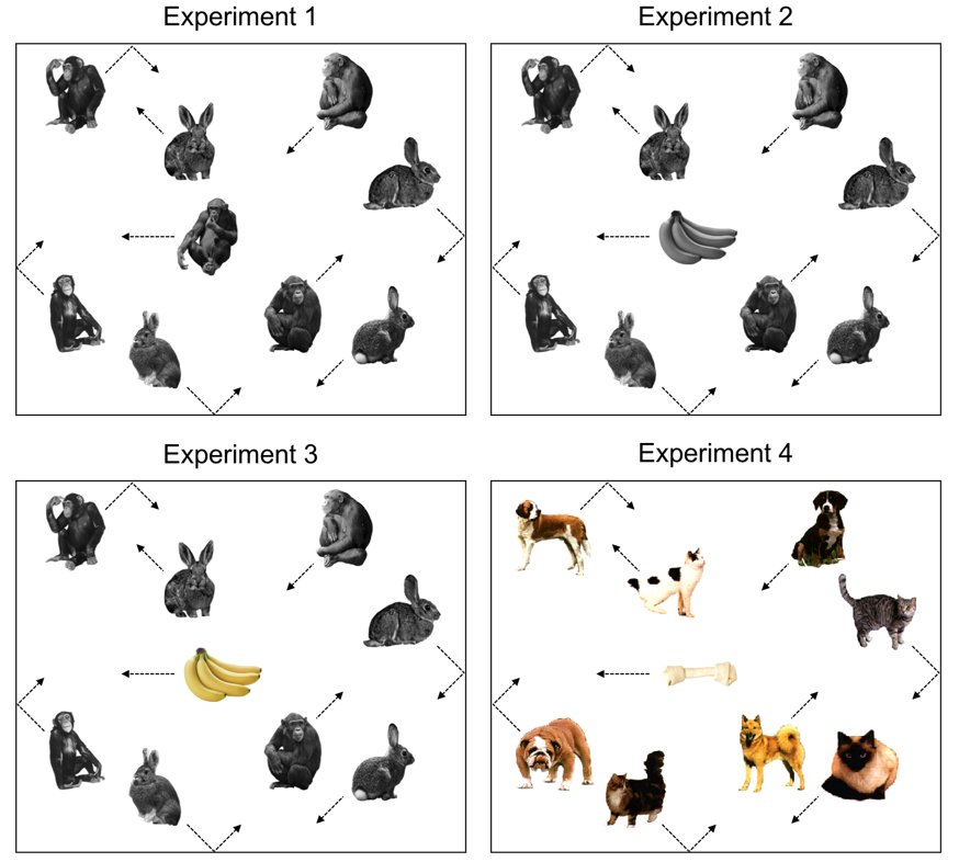 CStothart's tweet photo. New paper in press at QJEP: Are people more likely to notice an unexpected banana while looking for monkeys? https://t.co/9xvJNj066Q https://t.co/1r4YYGhBu5