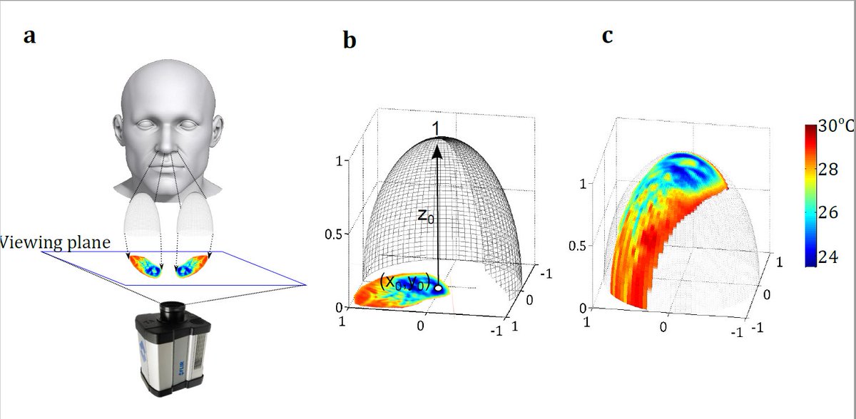 uh_cpl's tweet photo. CPL published its latest work on 3D breathing extraction using thermal imaging at @ieeebibe2017 . This is a significant improvement over our previous 3D breathing work reported in MICCAI 2012. You can access the new paper at https://t.co/EBgIVPJRnt https://t.co/q1vVbFZZGv