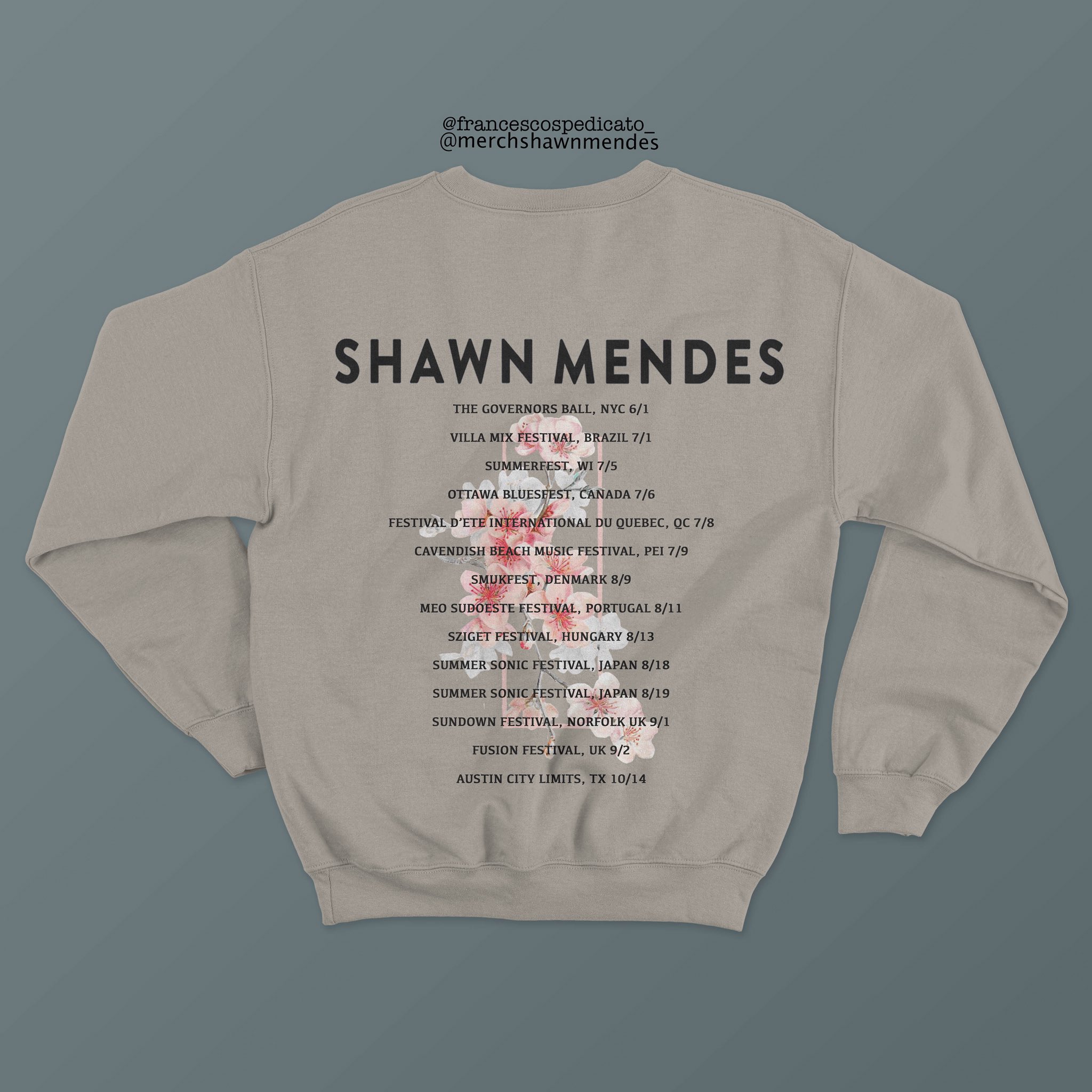 shawn mendes festival hoodie