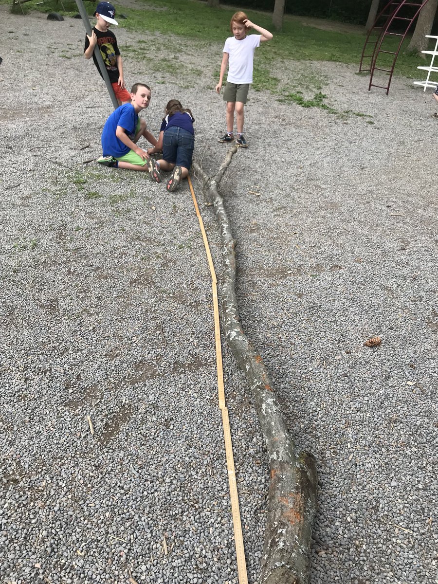 MissRyan10's tweet image. Outdoor math stations to keep us engaged on this hot day. #wolvesmath  #wolvesarewell #TLDSBlearns