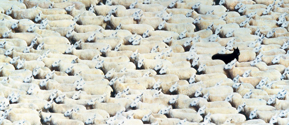 "Brands have become risk-averse and ads are boring. If the industry wants to survive it has got to lose its obsession with data and go back to its roots." - Sir John Hegarty marketingweek.com/2018/06/13/joh… 👏👏👏