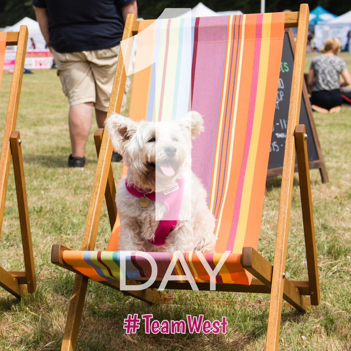 #TeamWest, we’re so excited to meet you 😍🐶 Advanced ticket sales close for DogFest West at 4pm TODAY: bit.ly/DF18tickets

After that, you can get tickets on the door! Hope to see you there 😄