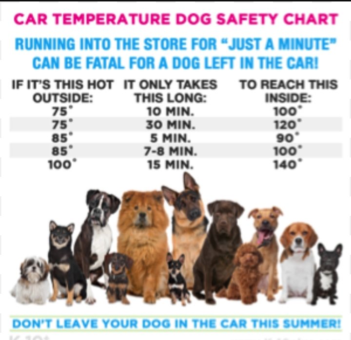 Dog Walking Temperature Chart