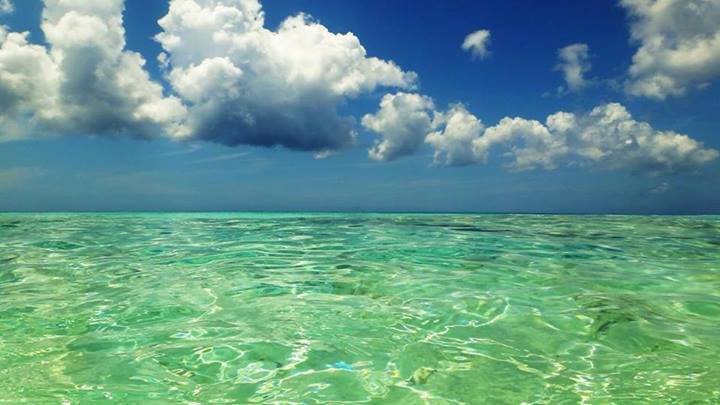 BlueMarlinMotel's tweet photo. It never gets old! #blueskies #KeyWestStateOfMind #KeyWestMode #keywestvibe #goodvibes #keywest #cupofjoe #MondayMotivation https://t.co/48v8AHJXdh