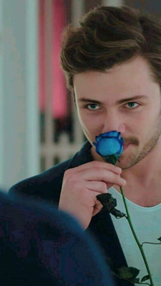 betusmiyy23's tweet photo. @hayalprestbagyn GeceyiAydınlatan AlSel https://t.co/O6ChKnPnpq