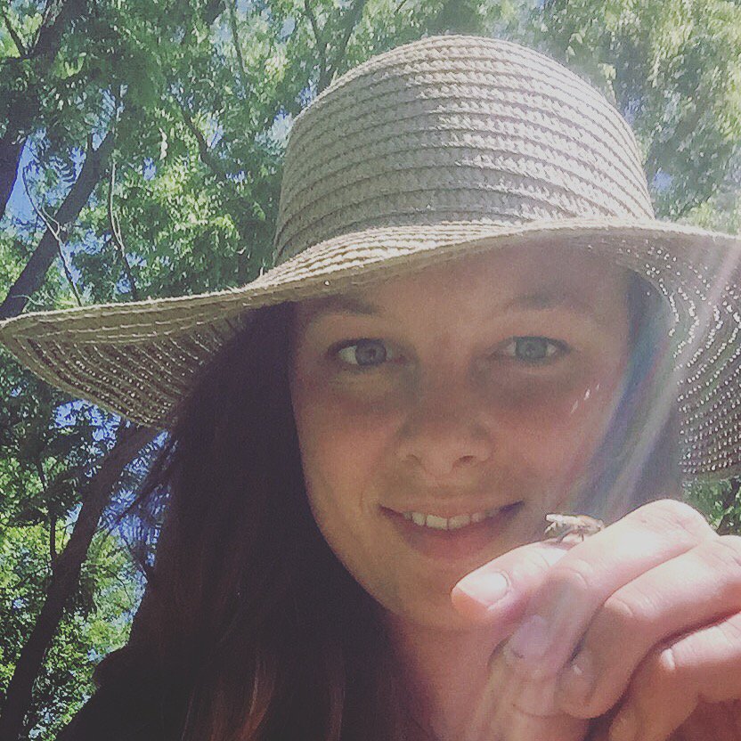 vanessasbees's tweet photo. β¨ #PollinatorWeek2018 β¨
ππ¦π¦ Small but mighty- bees, butterflies, moths, beetles, flies, birds, bats and more! What a different world it would be without them. Let's protect pollinators! πΌ https://t.co/0Lo6aF8Wyy