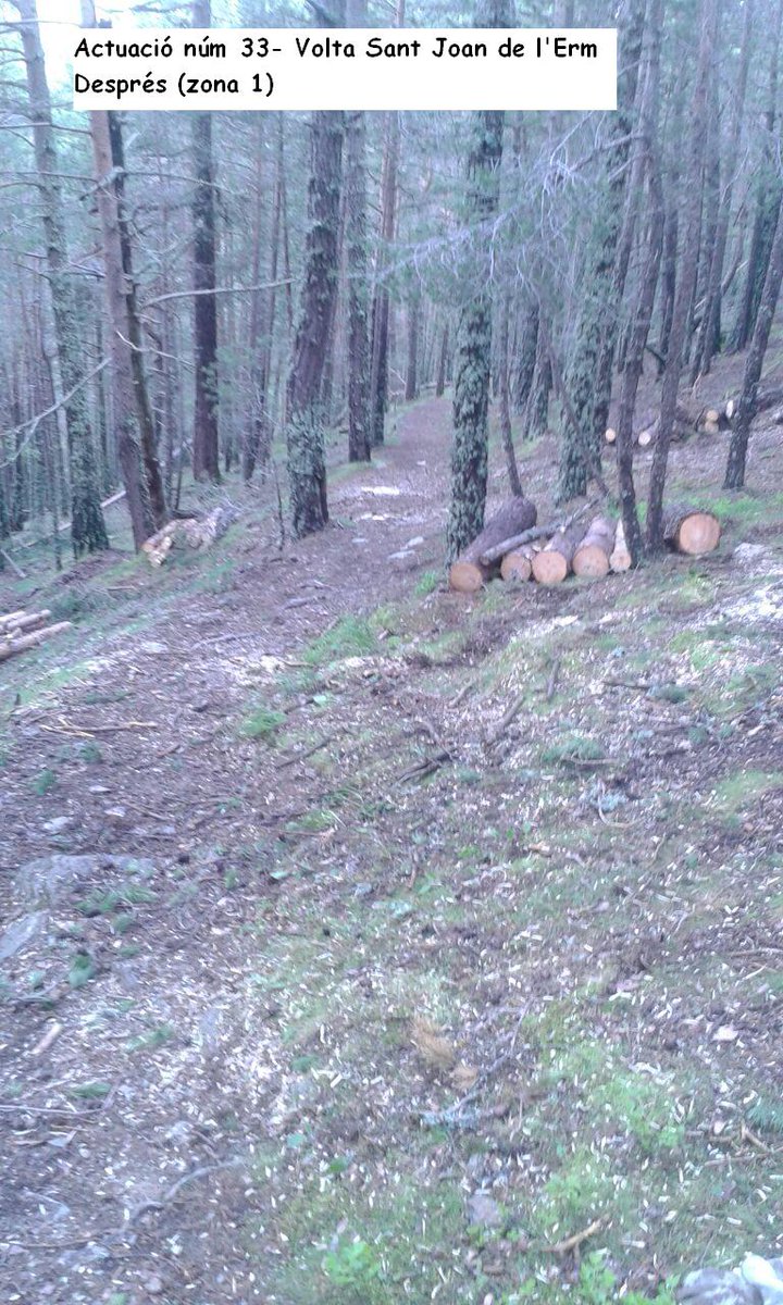 pnaltpirineu's tweet photo. El @pnaltpirineu deixa apunt els itineraris senyalitzats del bosc de @santjoandelermm mitjançant la tala i trosseig de nombrosos arbres caiguts per la neu, però també poda branques, desbrossament del matoll, realització de drenatges i repàs de la senyalització a través de #CAOPSA https://t.co/RW6skTIY7H