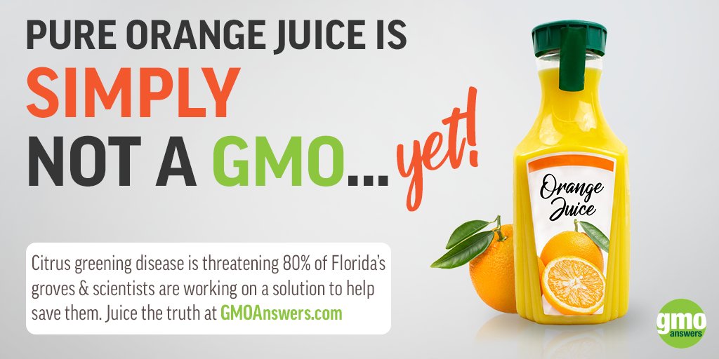 GMOAnswers's tweet photo. Not going to name any names, but orange you disappointed that a brand would mislabel its products? GMO oranges simply don’t exist on the market. https://t.co/3aOoLPkIRs https://t.co/IvF7cbODIQ