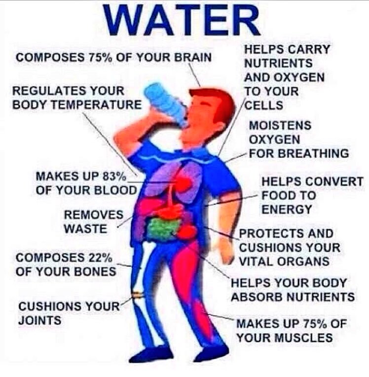 M_MLax's tweet photo. With these hot days ahead for summer tournaments it’s important that you hydrate. Drink at least one liter (33 fl. oz.) about 90 minutes before your work out/practice or game. #HydrationIsKey https://t.co/qkQiuZ2XVJ https://t.co/WCMW0BpM74