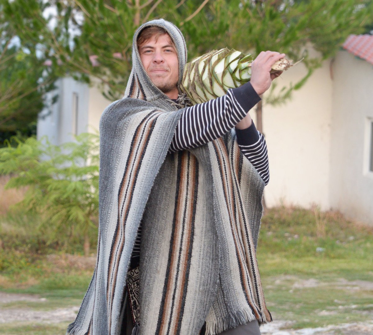 Bernardo Sada, the founder of the project, began working with agave and mezcal in 2012 and started the project “Coyote” in 2013 in Oaxaca. 
#bernardosada #mezcalnoblecoyote #founder #theagaveexperience