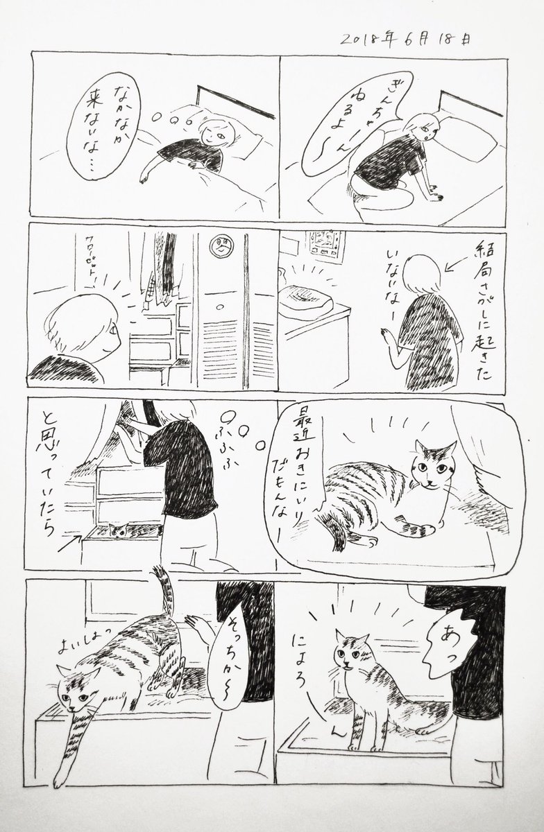 2018/6/18のぎんちゃん  #今日のぎんちゃん 