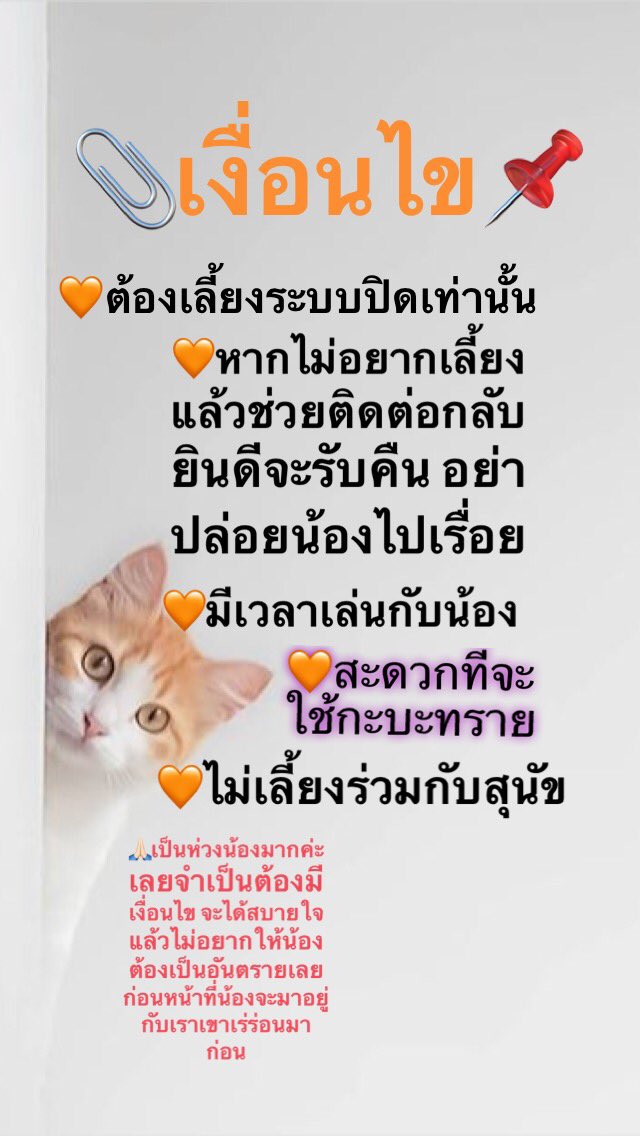 KataiAcn's tweet photo. หาคนรักแมวช่วยรับน้องไปเลี้ยงหน่อยค่ะเพราะเรากำลังป่วยเป็นมะเร็งระยะทีสามต้องรักษาตัว #หาบ้านให้แมว #รีวิวเชียงใหม่ #ทาสแมว #ทวีตดีคนรีน้อย https://t.co/5fiedmVryj