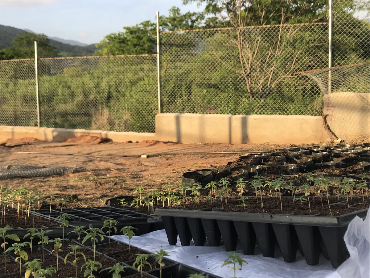 JavierHasse's tweet photo. Catch my weekly #PotStocksRecap x @MarketWatch @CNNMoney @Benzinga
@CynthiaMarie78 #Hemp #FarmBill
@WallandBroad @GTIGrows @48Nrth
@BioTrackTHC @PAXvapor @oregrowninc @altthirtysix
@PROHBTD @MJNA_INC @lesliebocskor @NewFrontierData 
https://t.co/zSwUCYUUHK
https://t.co/QnIQGpe77R https://t.co/AgwtE9qec6