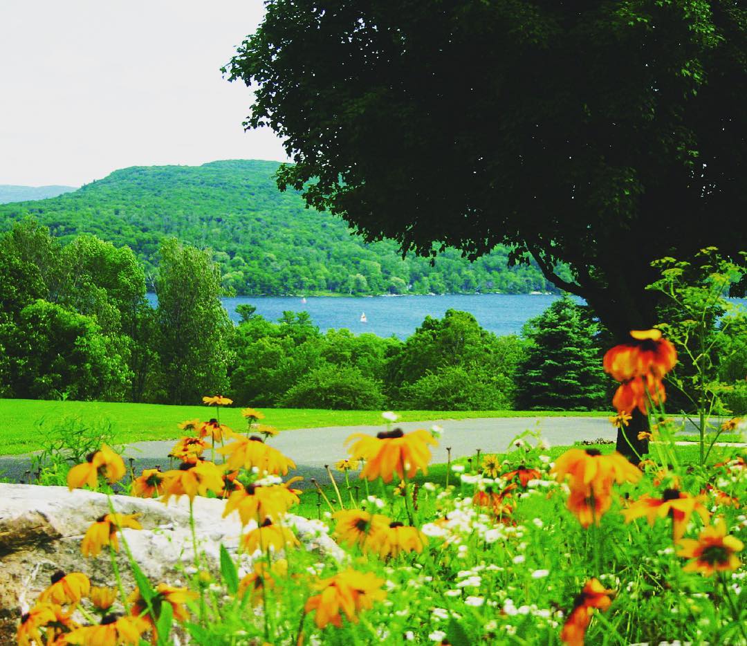 DeanyLaliotis's tweet photo. A big thanks to all of those who attended my EMDR retreat at @KripaluCenter last week! It was a wonderful week filled with learning, healing, and relaxation.
#EMDR #EMDRworkshop #EMDRretreat #EMDRtherapy #EMDRtherapist https://t.co/t5098YIHui