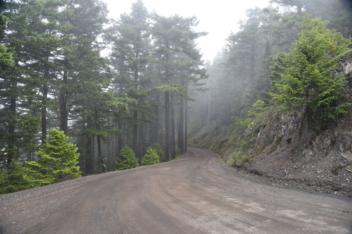 Deer Park Road is a narrow, gravel mountain road.