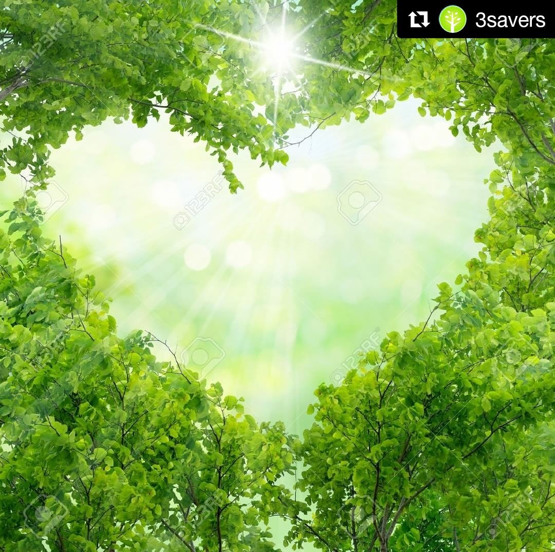 Thrive_Green's tweet photo. #beatplasticpollution #naturephotography #flowerphotography #savenature #savetrees #moreoxygenplease #planetfitness #humanity #beingnatural #thrivegreen #nurturebynature #wwfc
#thrivegreen #plantbased #alberteinstein #worldenvironmentday #environmentalscience #sun #Thinkgreen https://t.co/e8Jyi03yeH