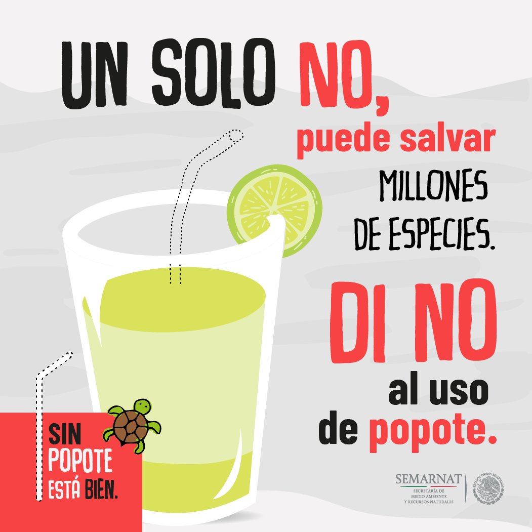 SEMARNAT_mx's tweet photo. Recuerda, cuando vayas al parque 🌳, a la plaza , al cine 🍿o a comer 🍽, siempre elige #SinPopote 🚫🥤. Un solo NO puede salvar millones de especies marinas. Súmate al movimiento en 👉 https://t.co/FCqjSDPiqX 🙌🐋🐢 https://t.co/pAz1geaqTy
