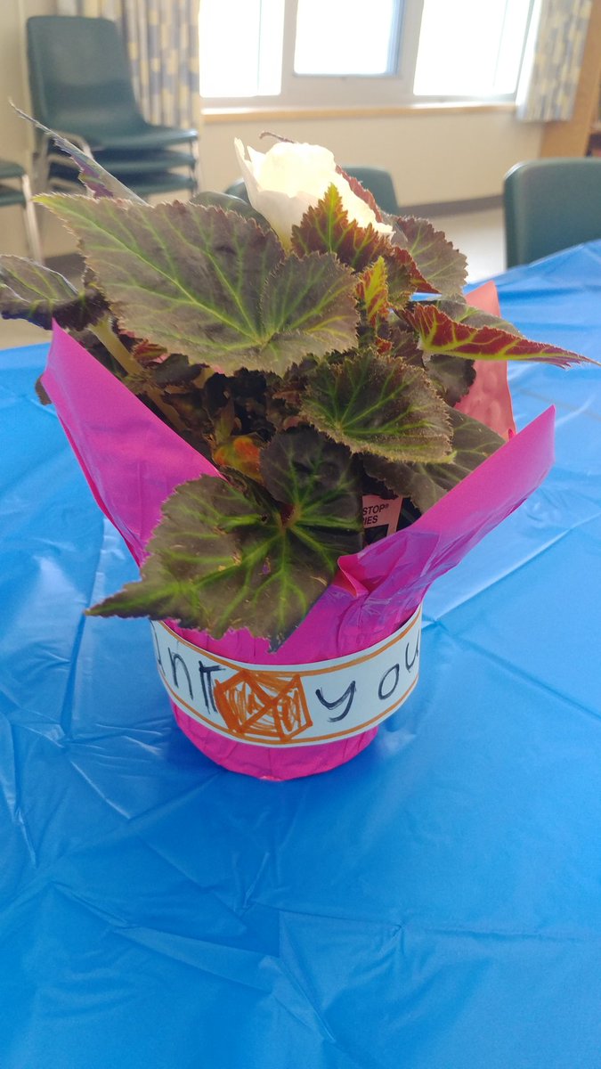 mrskingma's tweet photo. We had a wonderful turn out for our volunteer tea today! Thank you volunteers for all you do @CobblestoneES ! We couldn't do it without you! @GEDSB https://t.co/dOmgdKX5A1