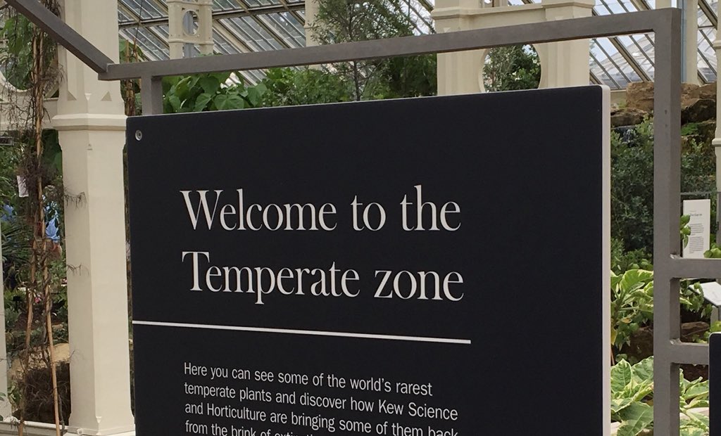 Is the Crystal Maze too hardcore for you? Don’t worry, Kew Gardens has got you covered.