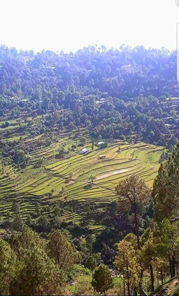 Zarb_A_Pakistan's tweet photo. #Beautiful #PeaceFull #Pakistan (#Norht) https://t.co/PhrqDnN7wo