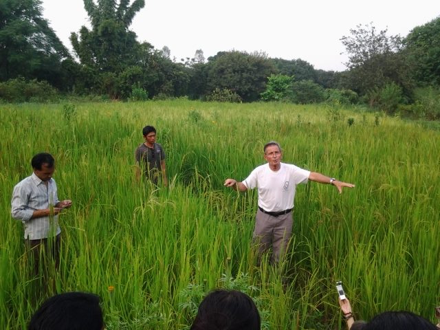 NavdanyaInt's tweet photo. How can we have a diversified diet if 60% of our calories come from just wheat, rice and maize? And how do we diversify our food if almost all the food we eat is produced from varieties that must be uniform, stable and distinct? @s_ceccarelli https://t.co/vEt1NFiipa #Food4Health https://t.co/DvMvhu9Q0r