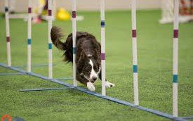 DZoneInc's tweet photo. Agility in the Mainframe via #DZoner @ctsmithiii https://t.co/dORfUWIayr #agile https://t.co/YkuHhjYvWe