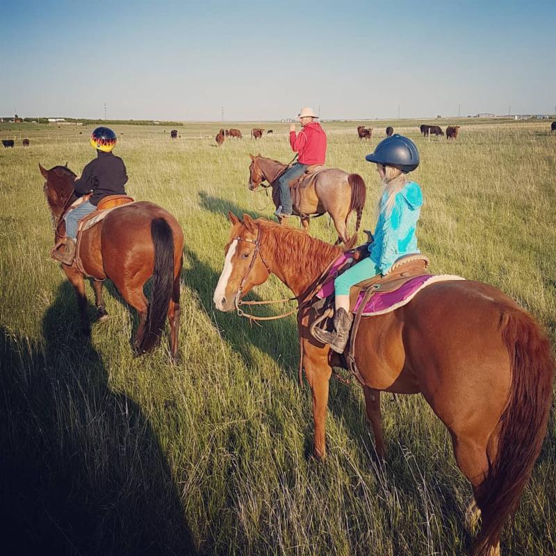 Overdue Ranch Update! conta.cc/2I3TiDm