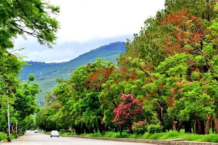 BilalQazaafi_'s tweet photo. Once you live In Islamabad, no other city Is good enough ❤ https://t.co/IwoBjok5uX