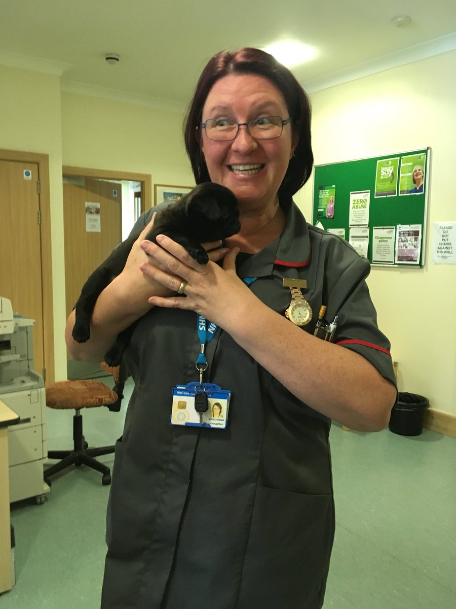 Amanda Houghton tweet media