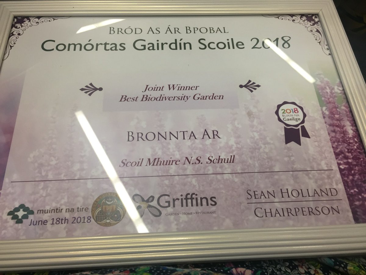 SchullNS's tweet photo. Congratulations to pupils, parents and teachers whose green fingers turned to gold today as we accepted 1st prize for Best Biodiversity Garden at the @Muintir_na_Tire School Garden competition! @MuintirCork https://t.co/DnXwCP7abc