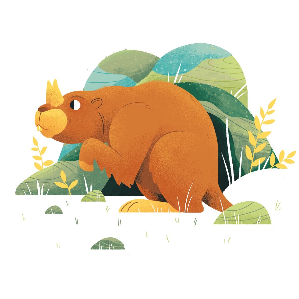Heybtodd's tweet photo. C is for ceratogualus. (Or cave gopher). #AnimalAlphabets @AnimalAlphabets  extinct animal series. https://t.co/BZTAoz70Ly