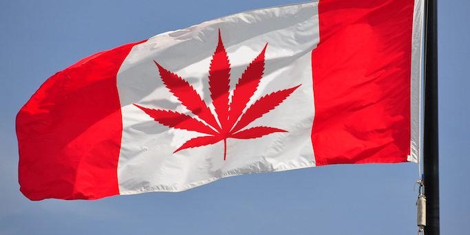 IntlCBC's tweet image. Canadian #cannabis companies are poised to create jobs &amp;amp; generate revenue with a whole host of infused concoctions, if the government doesn't stand in the way with overly burdensome regulations: internationalcbc.com/canadian-canna… #CannabisCommunity #icbcvancouver @jamiesashaw @ngaio420