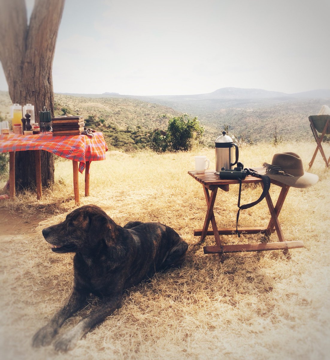 Bush breakfasts ☕️ #dogsoftwitter #breakfastwithaview #coffee #safari