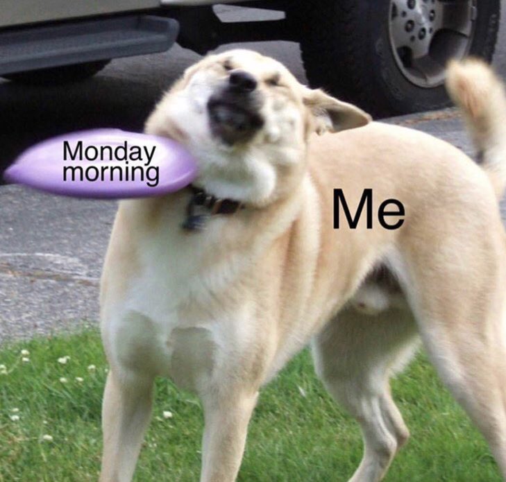 Madi Lee (@madisings) on Twitter photo 