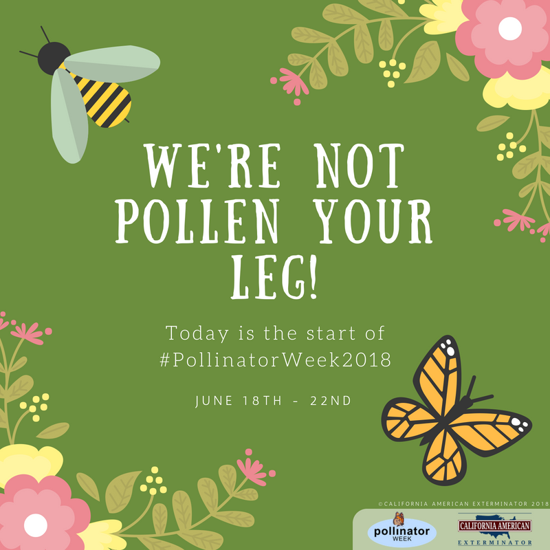CalAmericanExt's tweet photo. We're buzzing to celebrate #PollinatorWeek and share fun information about the importance of #pollinators! Stay tuned and stay active!
ππΈπ¦
#PollinatorWeek2018 #PollinatorProtectors
Image may contain: text https://t.co/m5tfP3AM6q
