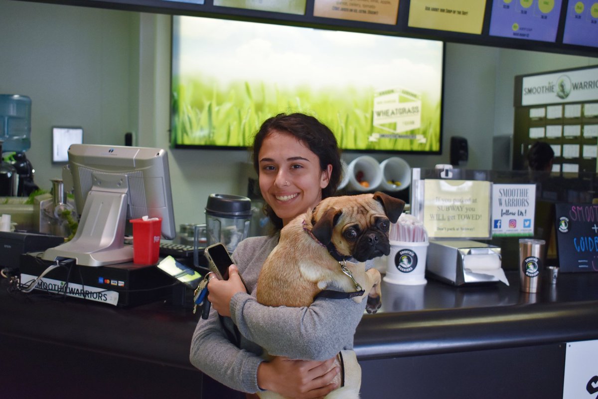 smoothiewarrior's tweet photo. Everybody loves smoothies!🐶😉 https://t.co/F3SjmTMTw6
